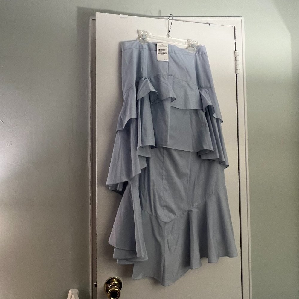 Blue Ruffle Skirt!